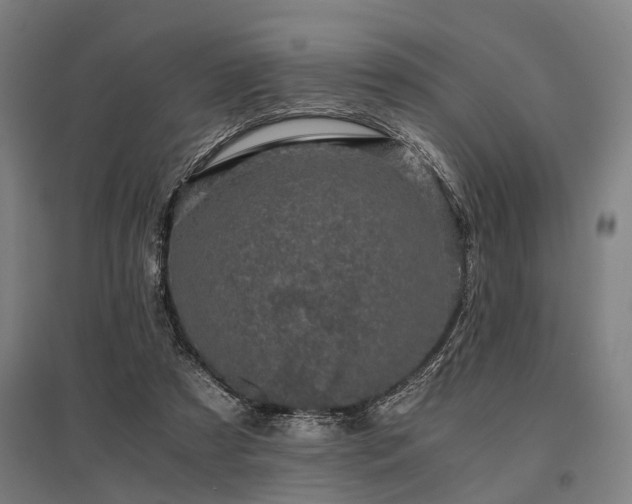 X0000096160305200801181230