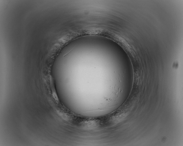 X0000096160307200801181230