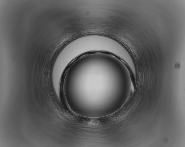 X0000096160308200801181230
