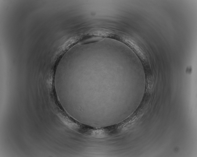 X0000096160309200801181230