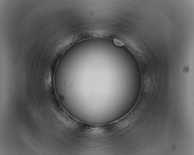 X0000096160310200801181230