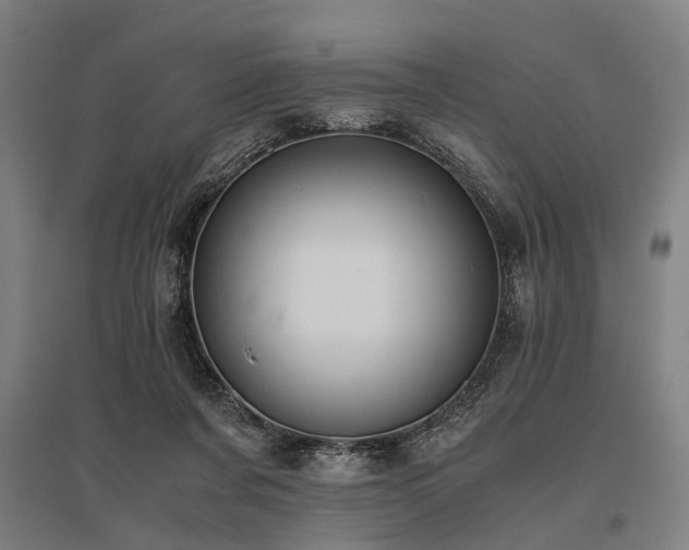 X0000096160311200801181230
