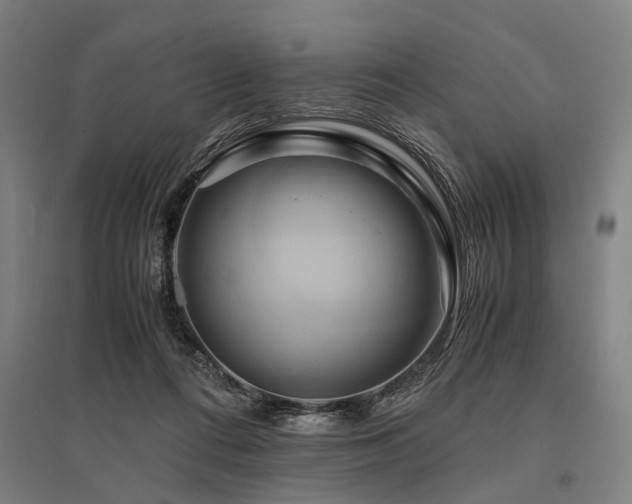 X0000096160312200801181230