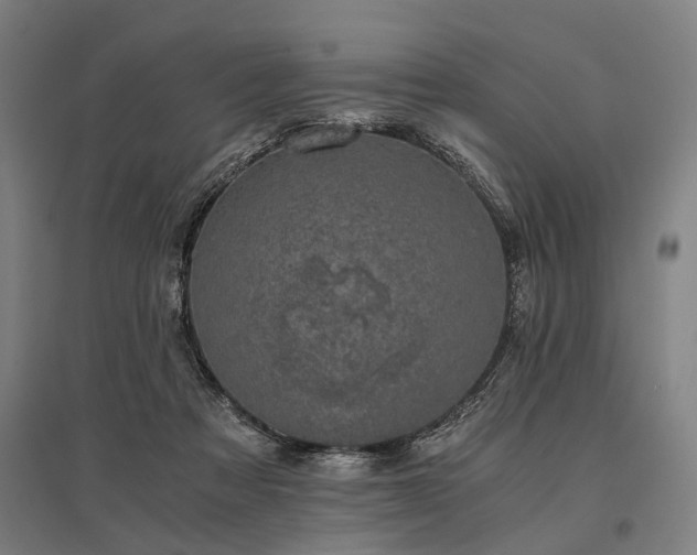 X0000096160313200801181230