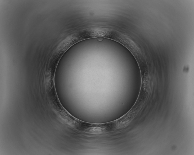X0000096160314200801181230