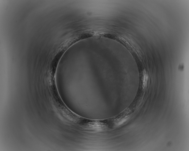X0000096160316200801181230