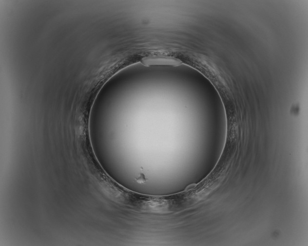 X0000096160317200801181230
