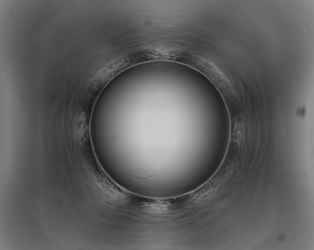 X0000096160318200801181230