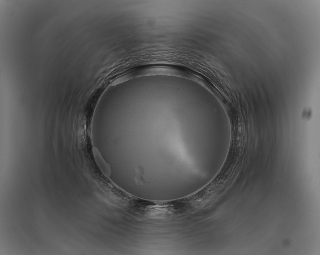 X0000096160320200801181230