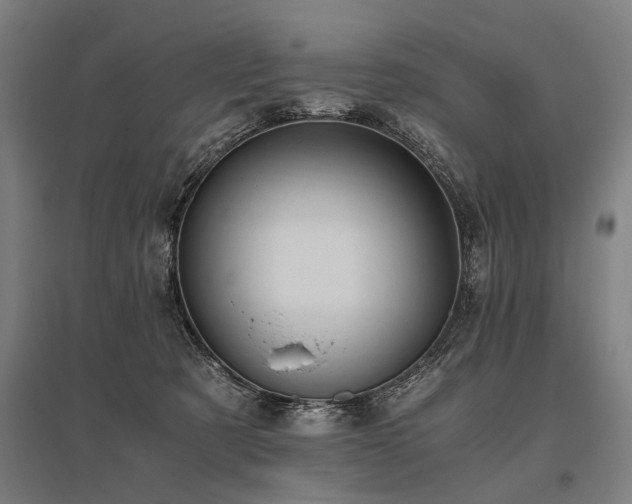 X0000096160321200801181230