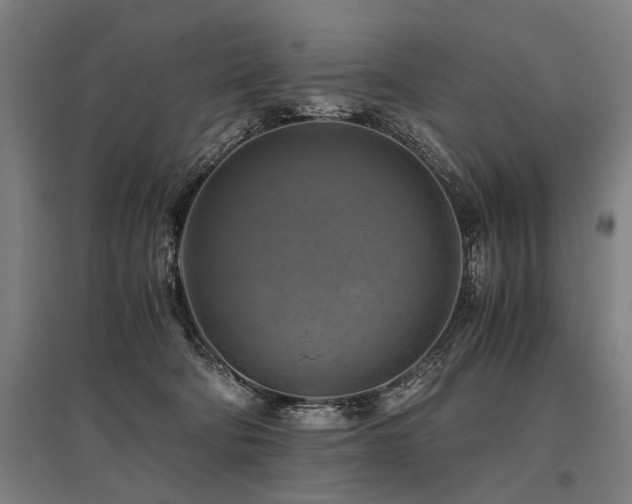 X0000096160322200801181230