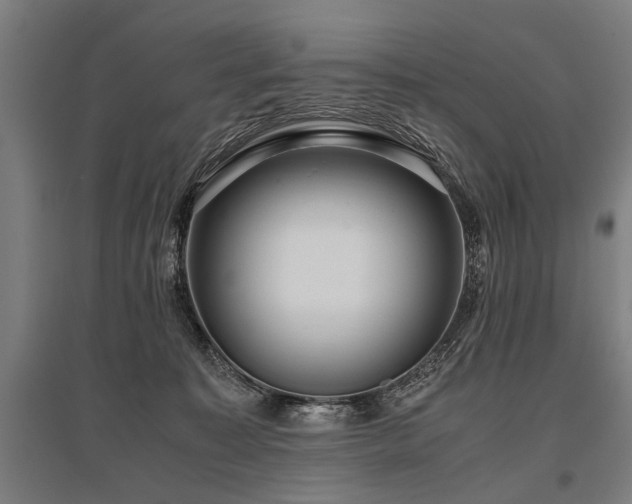 X0000096160323200801181230