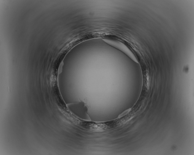 X0000096160324200801181230