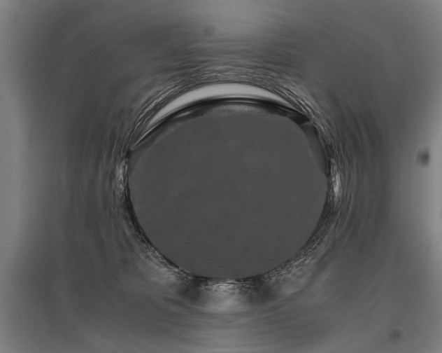 X0000096160325200801181230