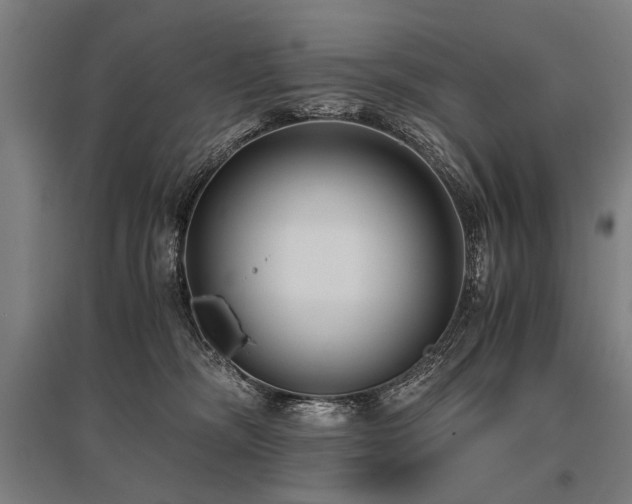 X0000096160326200801181230