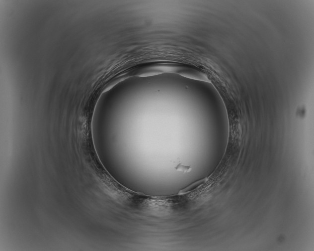 X0000096160327200801181230