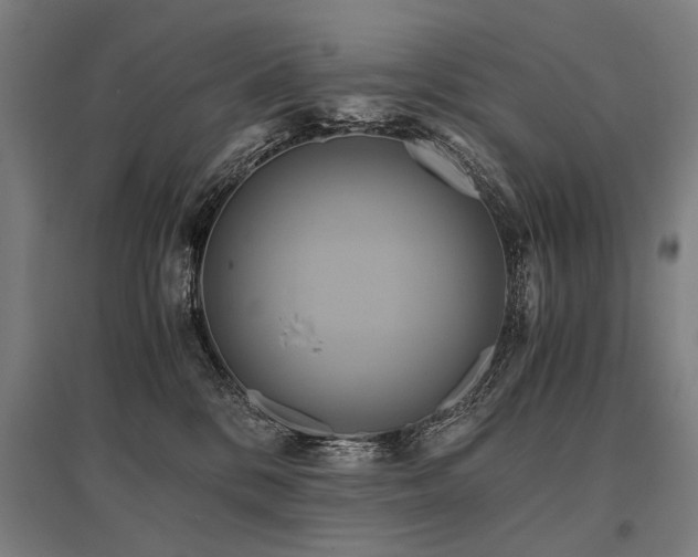 X0000096160328200801181230