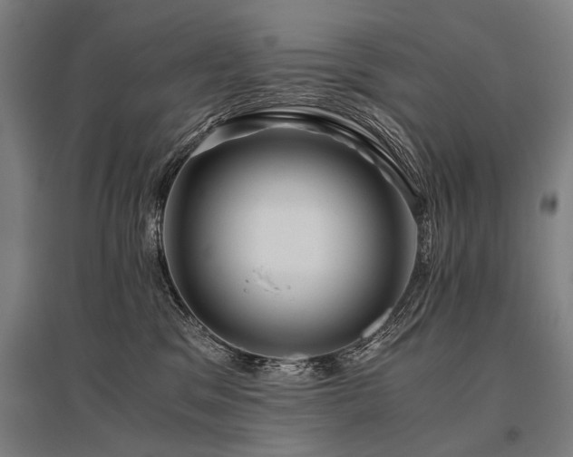 X0000096160329200801181230