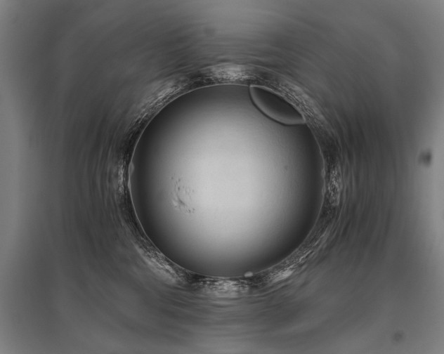 X0000096160330200801181230