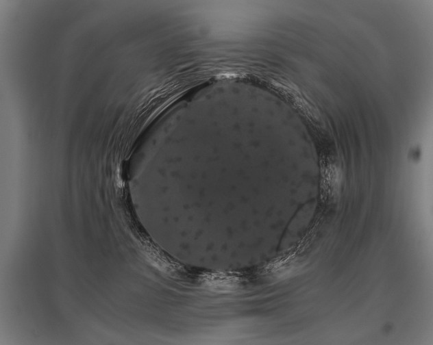 X0000096160331200801181230