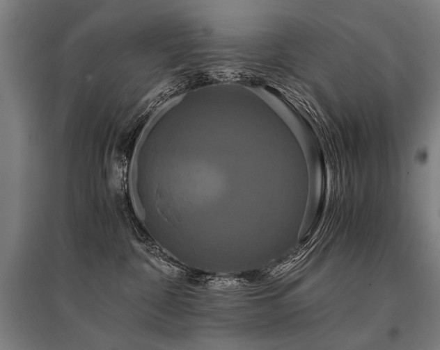 X0000096160332200801181230