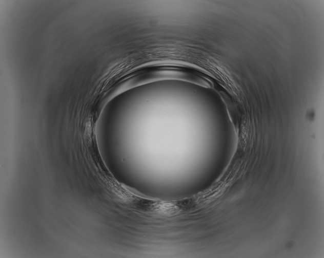 X0000096160333200801181230