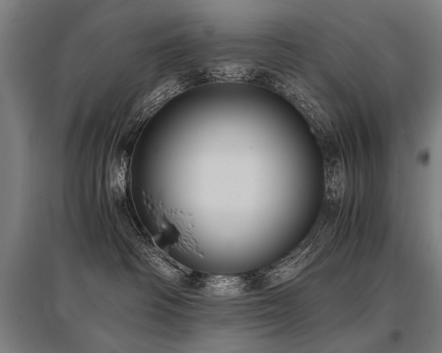 X0000096160334200801181230