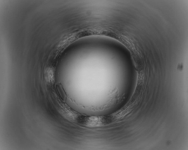 X0000096160335200801181230