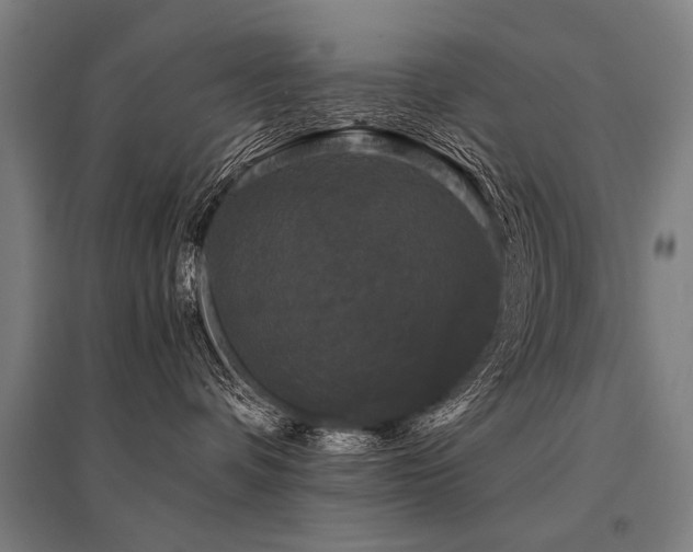 X0000096160336200801181230