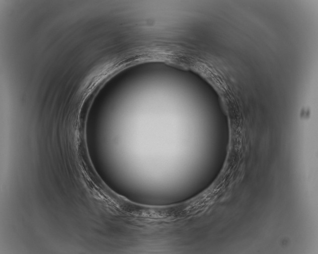X0000096160338200801181229