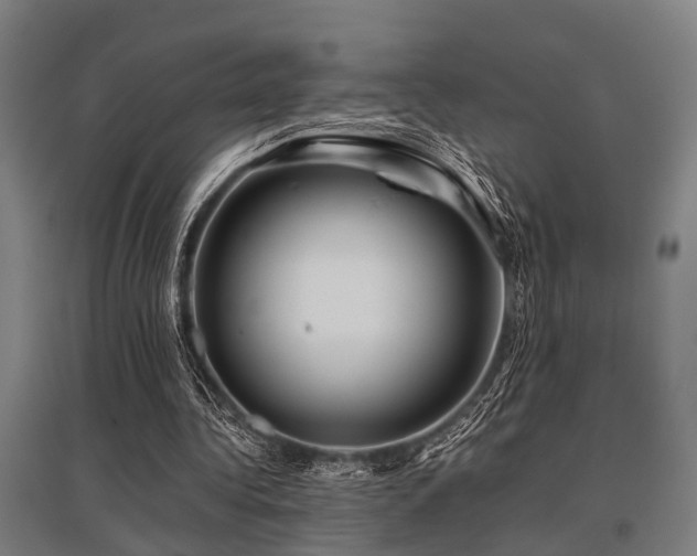 X0000096160340200801181229