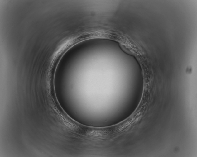 X0000096160341200801181229