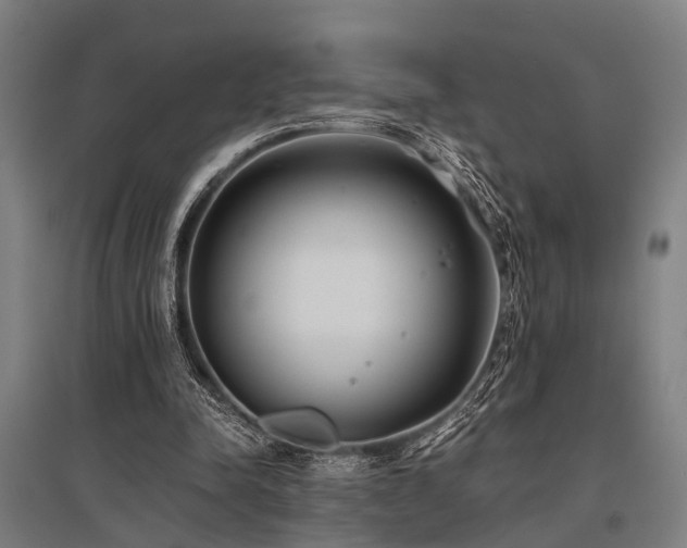 X0000096160342200801181229
