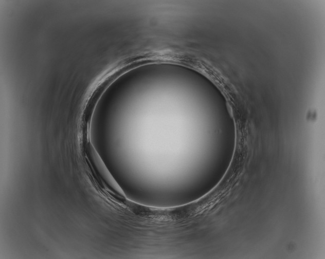 X0000096160344200801181229