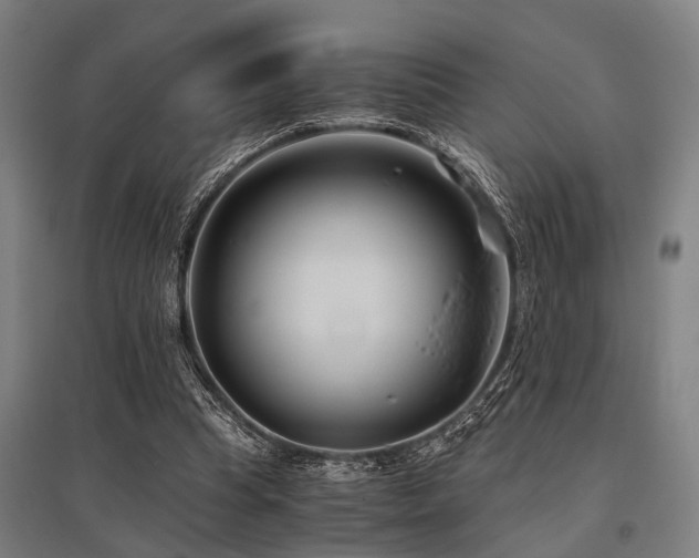 X0000096160345200801181229