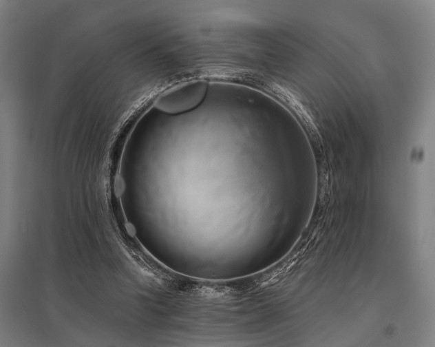 X0000096160346200801181229