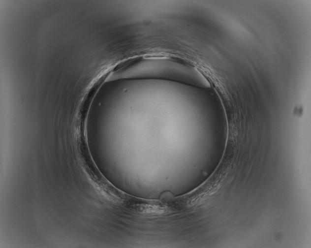 X0000096160347200801181229