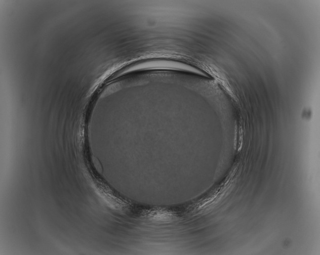 X0000096160348200801181229