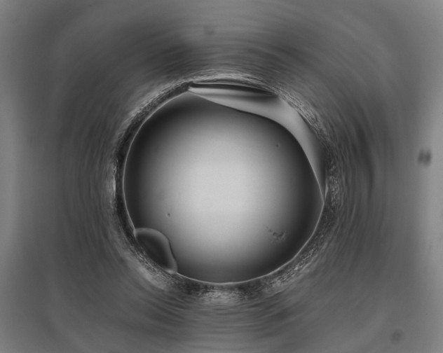X0000096160350200801181229
