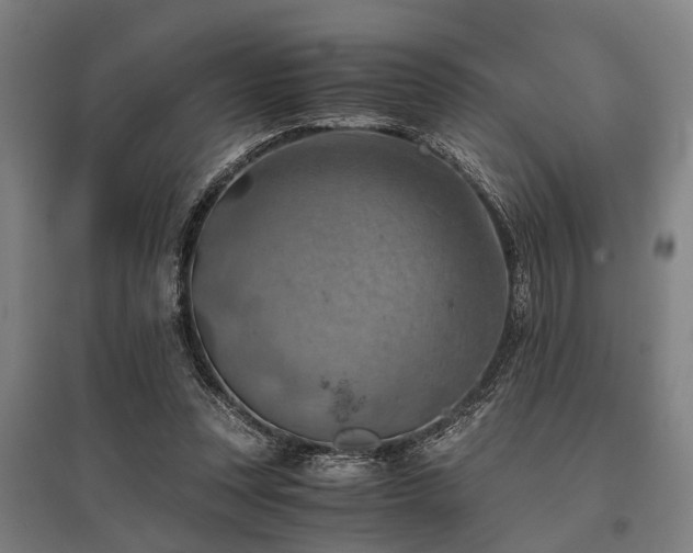 X0000096160351200801181229