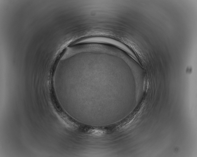X0000096160352200801181229