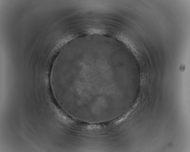 X0000096160353200801181229