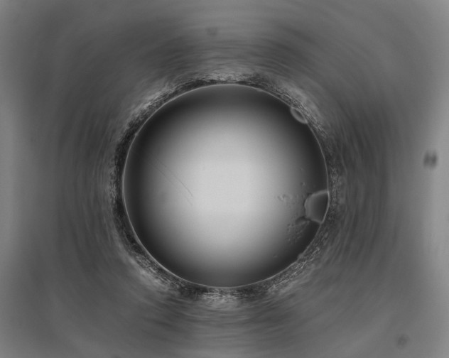 X0000096160354200801181229