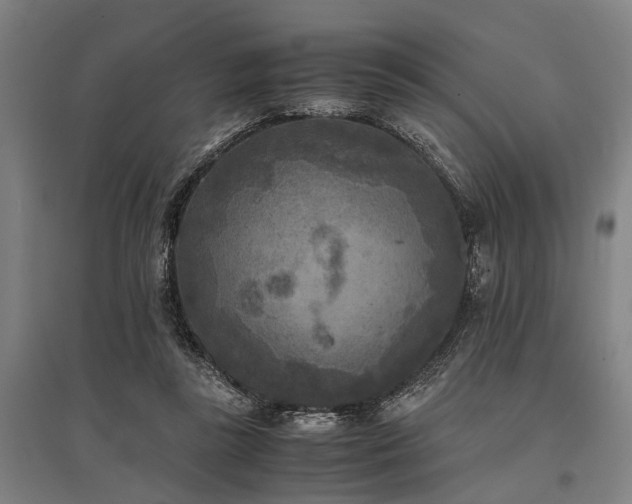 X0000096160355200801181230