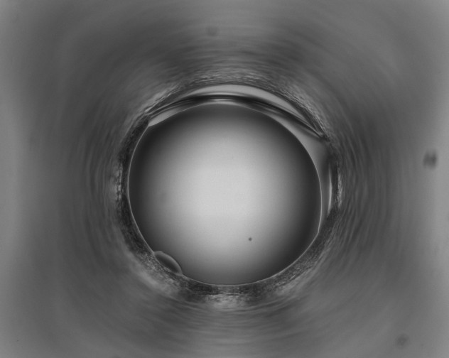 X0000096160356200801181230