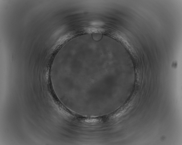 X0000096160357200801181230