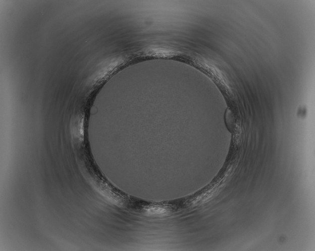 X0000096160358200801181230