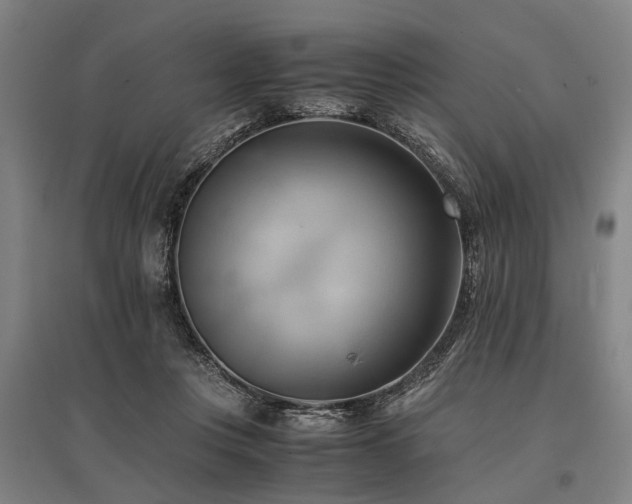 X0000096160359200801181230