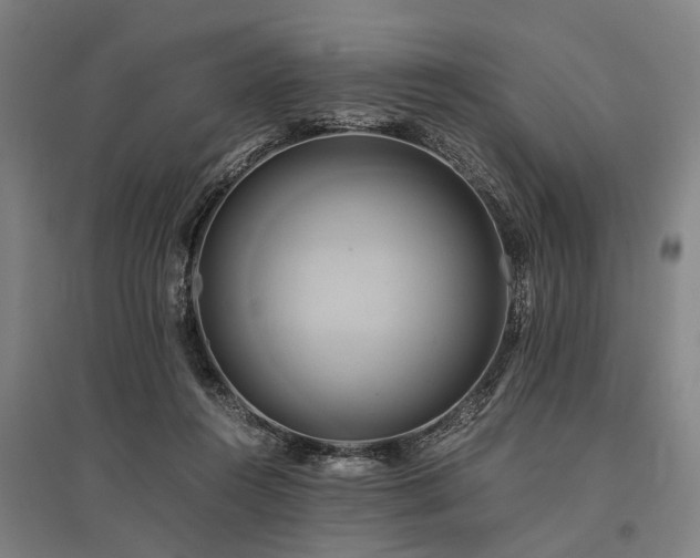 X0000096160360200801181230