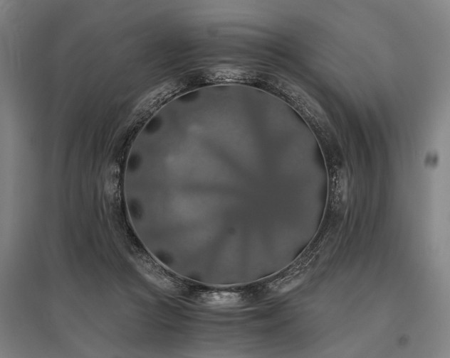 X0000096160361200801181230